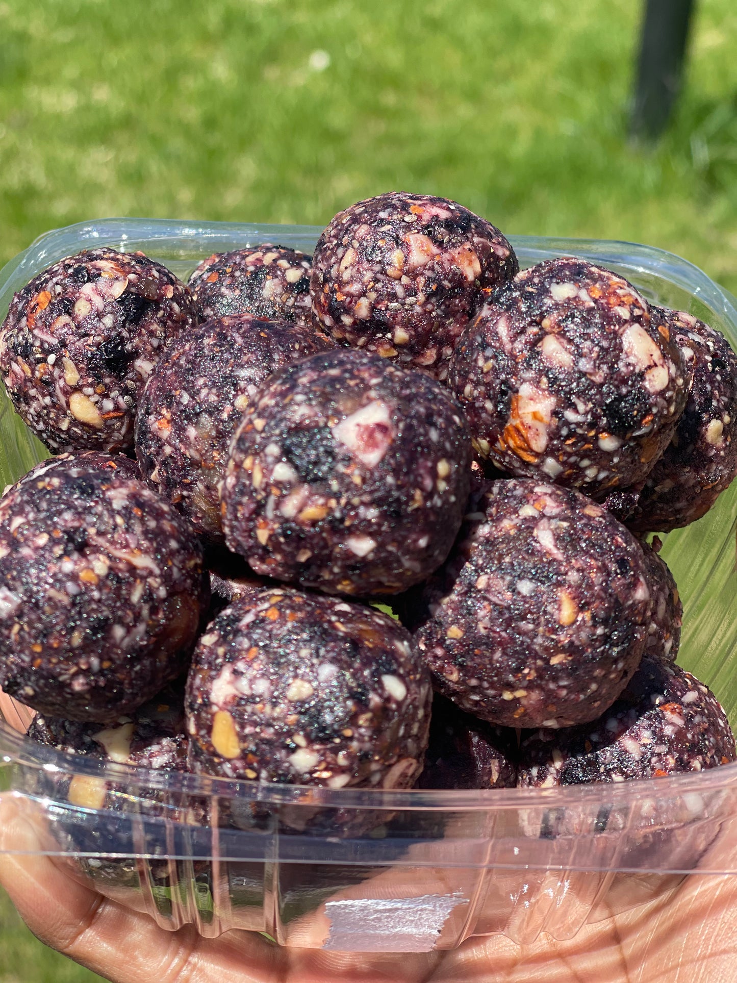 Blueberry Energy Bombs