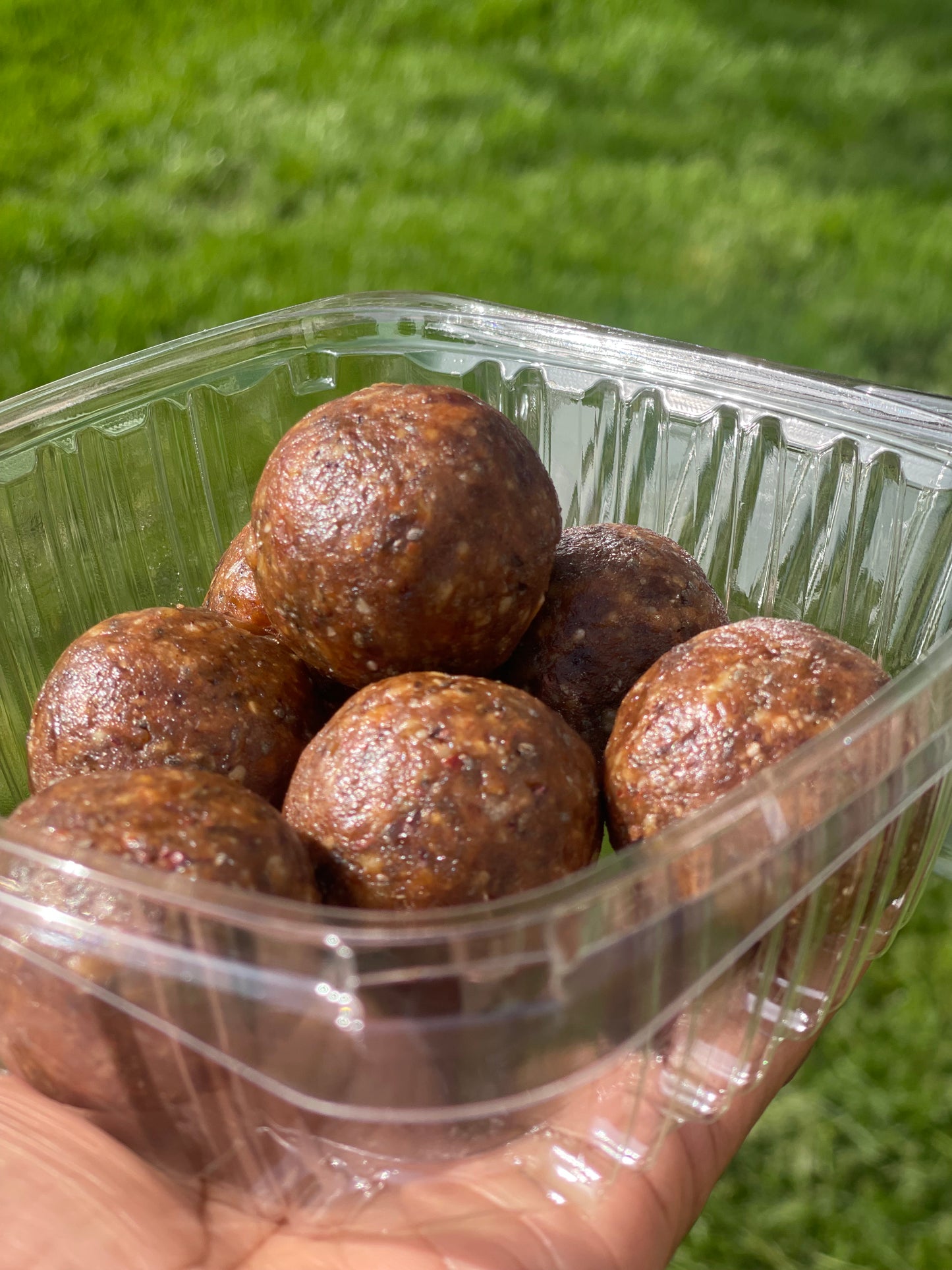 Pecan Turtle Energy Bombs